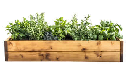 Organic Wooden Raised Garden Bed with Various Herbs for Outdoor Gardening Inspiration