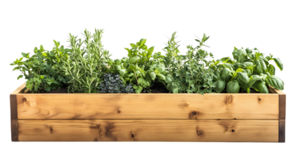 Organic Wooden Raised Garden Bed with Various Herbs for Outdoor Gardening Inspiration
