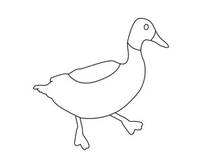 Duck Outline Drawing for Kids Coloring Book Page 
