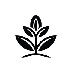 Stylized seed with two leaves growing logo icon
