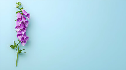 Fototapeta premium Purple Flower Arrangement Against Light Blue Background