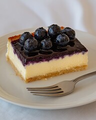 A minimalist blueberry cheesecake slice