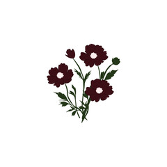 Nature flower with vector 