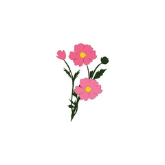 Nature flower with vector 