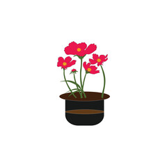 Nature flower with vector 