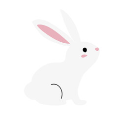cute white rabbit flat vector illustration set
