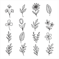 botanical flower and leaves.eps