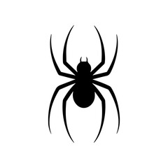 Black spider on white background