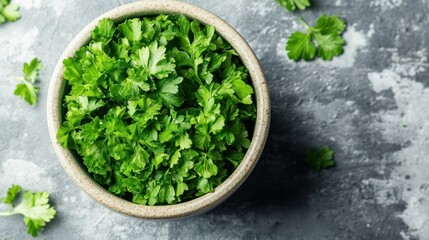Fresh Cilantro Leaves in a Ceramic Bowl on Gray Stone Surface
