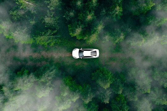 "Eco-Friendly Electric Car Concept in Green Forest Sustainability Scene"

