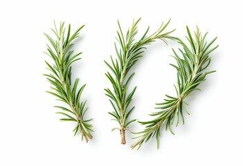 Set, Collection of fresh rosemary leaf herbal isolated on transparent background. Rosemary twig and leaves. Nature-inspired healthy food, diet design elements, cut out, PNG, clipping path .