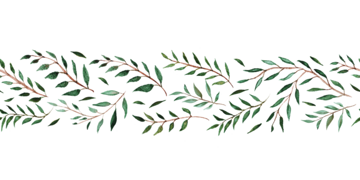 Horizontal seamless pattern of green leaves. Watercolor hand drawn isolated illustration border, eco background for your design. Hand drawn graceful branches.