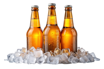 Three bottles of golden beer sitting on a pile of ice cubes