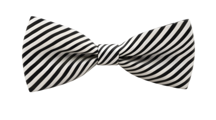 Stylish black and white striped bow tie (1)