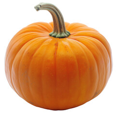 Obraz premium A large orange pumpkin with a green stem