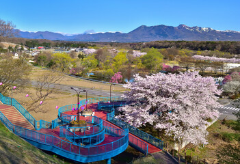 栃木県那須塩原市　満開の桜と那須岳