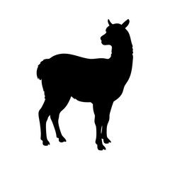 alpaca icon, alpaca silhouette vector illustration-simple silhouette illustration of alpaca, perfect for alpaca logos and icons