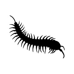 centipede icon, centipede silhouette vector illustration-simple silhouette illustration of centipede, perfect for centipede logos and icons
