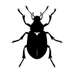 beetle icon, beetle silhouette vector illustration-simple silhouette illustration of beetle, perfect for beetle logos and icons