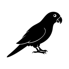 parrot icon, parrot silhouette vector illustration-simple silhouette illustration of parrot, perfect for parrot logos and icons