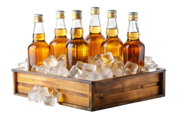 Six bottles of amber liquid in ice in a wooden crate