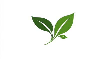 Fototapeta premium Two leaves graphic design