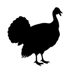 Turkey silhouette thanksgiving bird animal poultry farm fowl holiday vector illustration clip art