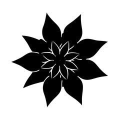 Black flower vector floral design element botanical illustration nature bloom blossom petal plant art graphic