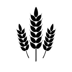 Wheat barley rye grain oat agriculture harvest field farm food healthy crop cereal plant seed vector