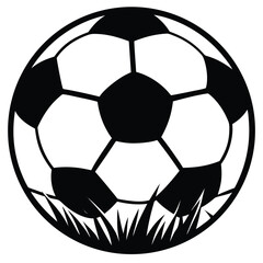 Obraz premium Close Up of Soccer Ball on Grass Field