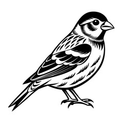 Download Finch Bird Vector Art And Illustration Eps File For Design.