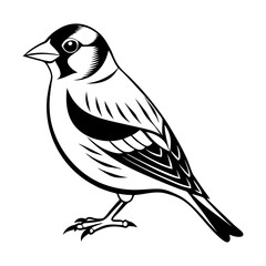 Download Goldfinch Bird Vector Art Illustration Eps File For Design.
