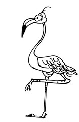 Flamingo Cartoon