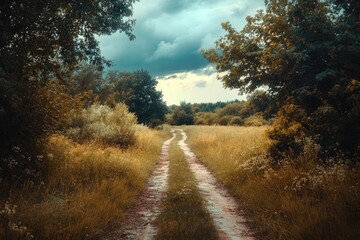 Fototapeta premium Country Road Under a Cloudy Sky