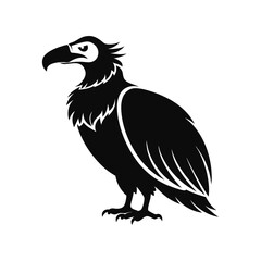 Download Condor And  Silhouette  Vector Illustration White Background Svg File For Design.