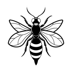 Download Bald-Faced Hornet Silhouette  Vector Illustration White Background Svg File For Design.