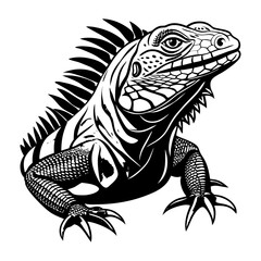 Download  Iguana Vector Art Silhouette   Illustration White Background  Svg File For Design.