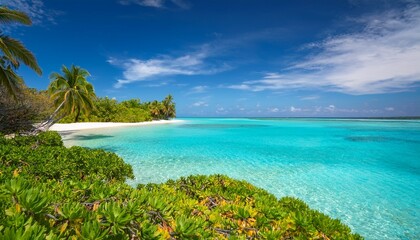 Another day in Paradise