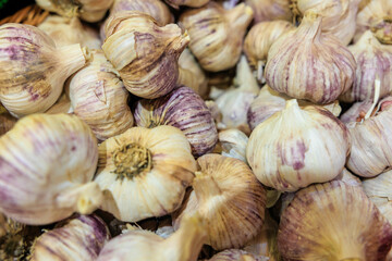 市場で売られている沢山のニンニク