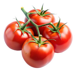 Five red fresh tomatoes on a branch isolated on white background