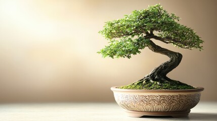 Beautifully shaped bonsai tree with lush green foliage and twisted trunk in a decorative ceramic pot on a neutral background showcasing artistry and nature