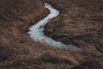 A calm, meandering stream winding through a field of dry grass, evoking a sense of tranquility and...