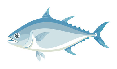 Vector Illustration of a Shark Fish