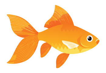 Animal Gold Fish - Vector Illustration