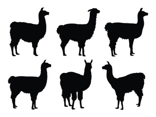 Set of Llama Silhouettes in Various Poses - Wildlife and Farm Animal Vector Collection.