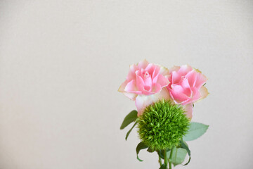 薔薇とテマリソウ