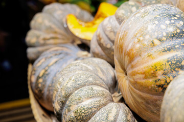 マーケットで売られている大きなカボチャ