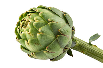 Obraz premium artichoke isolated on white background