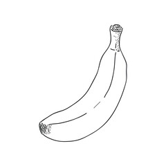 Clean and simple black-and-white vector line drawing of a single banana. Ideal for minimalist food illustrations, fruit-themed packaging, educational materials, coloring books, botanical prints