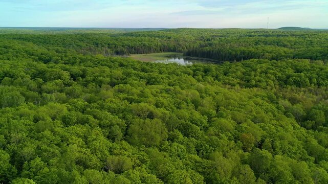Aerial view flying over a lush green forest towards a marsh during the spring at sunset. Hills and woods go on in the background with a communication tower.